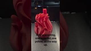 X2C testing a gradient effect part