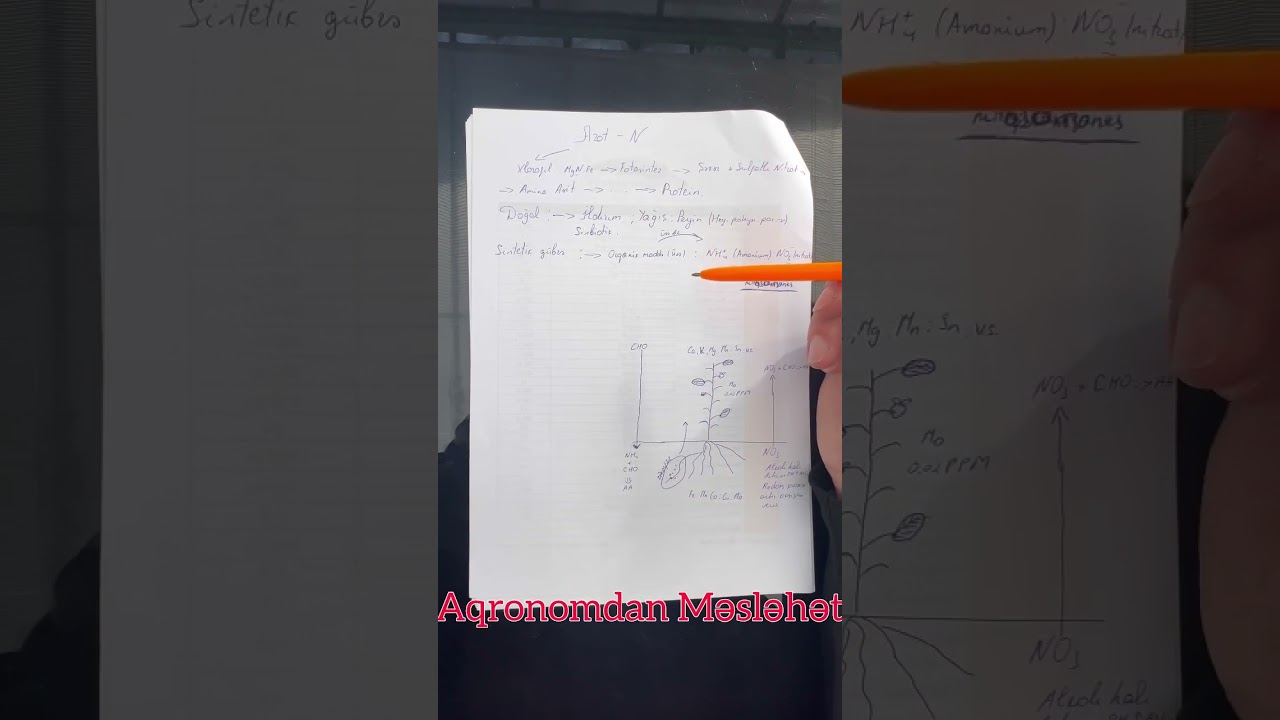 Azot . Azot Necə yaranır ? Azotun Torpaqda nə kimi təsirləri var ? Azotun Bitkidə necə təsiri var ?