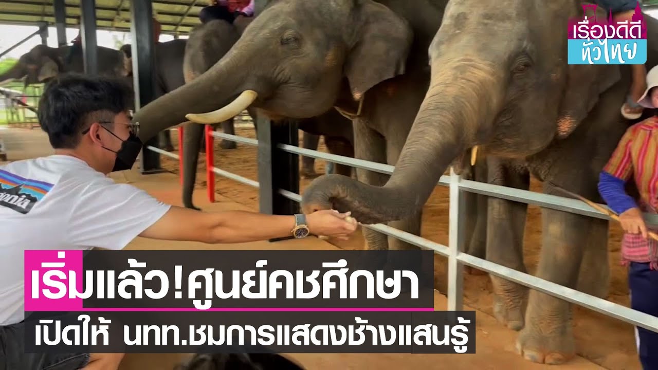 ศูนย์คชศึกษาเปิดให้ นทท. ชมการแสดงช้างแสนรู้ I เรื่องดีดีทั่วไทย 11-10-64