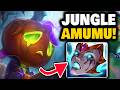 HOW to PLAY AMUMU jungle BETTER than LUDWIG!!