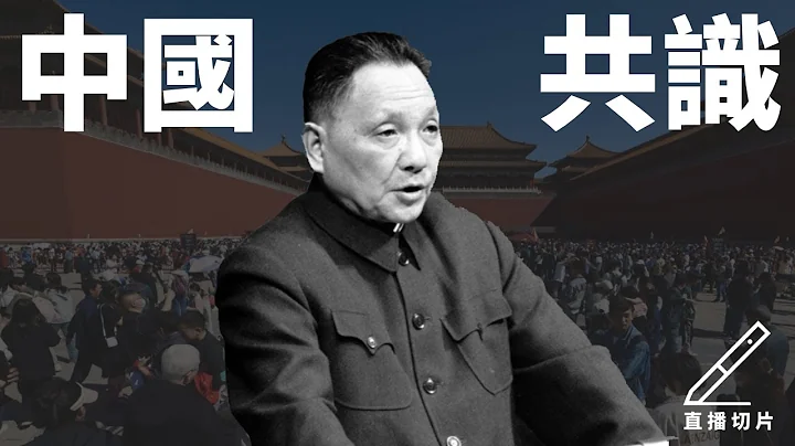 什么是中国现在最大的政治共识？民主选举？法治？言论自由？公民社会？［ 直播CLIP005 ］ - 天天要闻