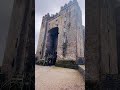 A true time capsule | Bunratty Castle 🏰 #castle #ireland #history