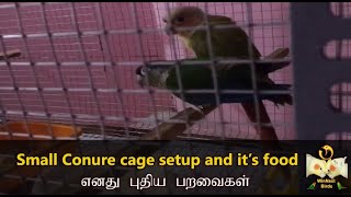 Small Conure cage setup and it’s food in tamil | Pineapple and Yellow sided setup | WinNest Birds
