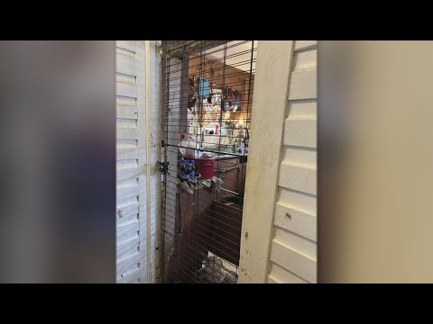 3 arrested in connection to animal cruelty case where 100+ animals were ...