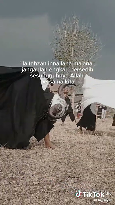 story Bantengan
