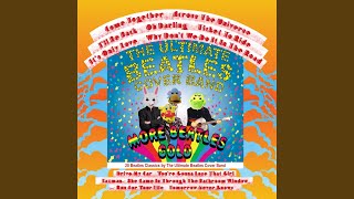 Oh! Darling - The Ultimate Beatles Cover Band