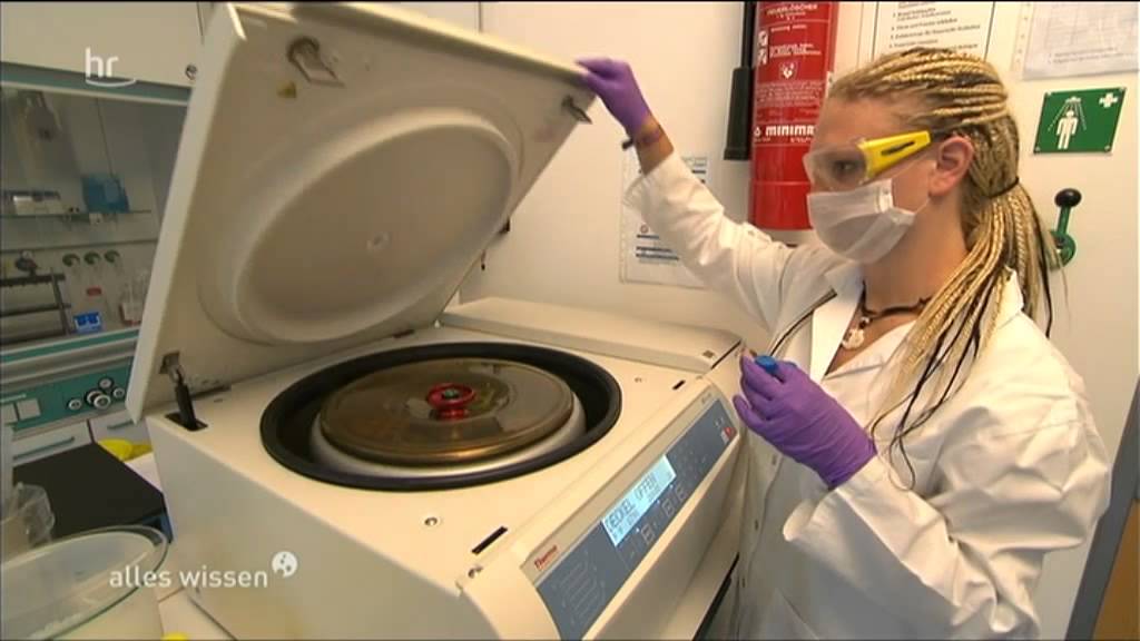 Antioxidantien gegen freie Radikale - ein Test mit Äpfeln