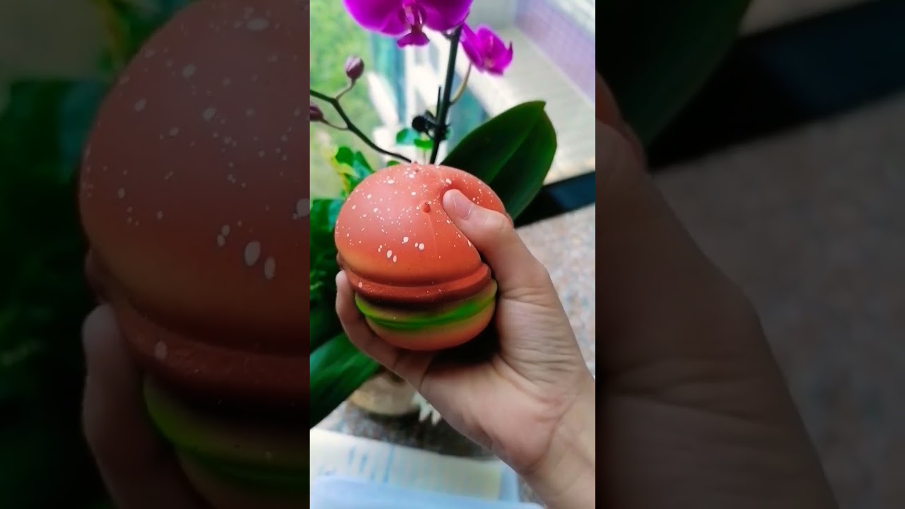 Hamburger squishy toy 