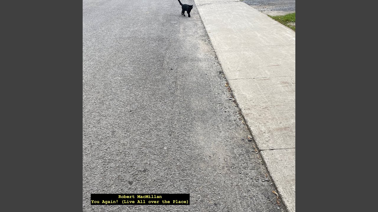 The Gadsden Purchase (Live at the World Neutral Grain Spirits Society's Annual 'a Taste of...