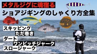 初心者必見！なんでも釣れるショアジギングのしゃくり方