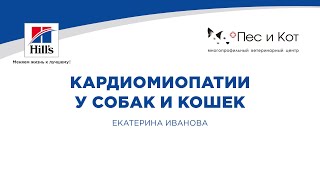 Вебинар на тему: "Первичные и вторичные кардиомиопатии у собак и кошек". Лектор - Екатерина Иванова.