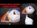 Pastel Pencil Lesson Puffin Beak - Jason morgan art