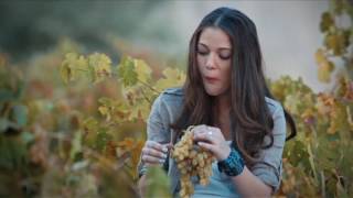 Süt Konseyi Tanıtım Filmi