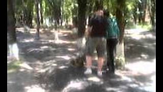чел забрал у гасторбайтеров асфальтоукладчик(, 2014-07-24T10:08:12.000Z)