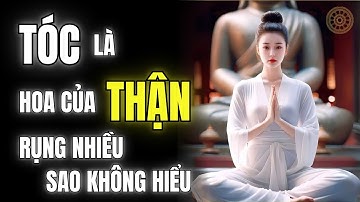 Tóc là hoa của thận, là hồn của khí huyết – Ai hiểu sẽ sống khác