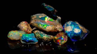 Possibly some of the best opals LIVE cutting