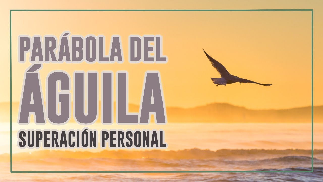 Parábola del Águila - Motivación y Superación Personal - YouTube