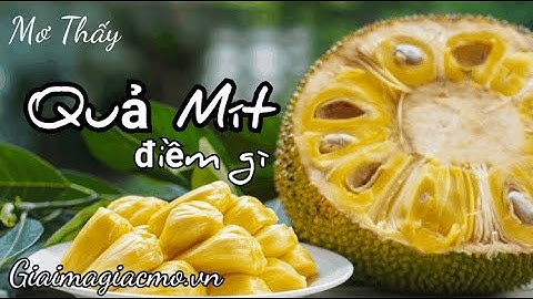 Mơ Thấy Quả Mít Ăn Mít Điềm Gì ☯ GiaiMaGiacMo.vn👁 Giải Mã Giấc Mơ Thấy Quả Mít Ăn Mít ✅ CHÍNH XÁC