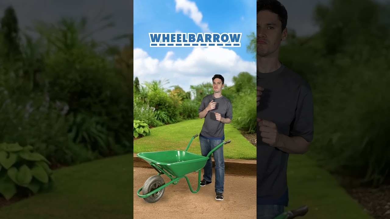 Test Your English Vocab in 60 Seconds! ⏳