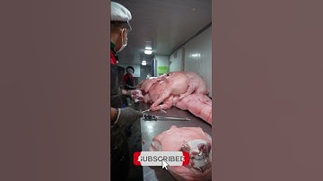 Butcher’s Knife Work Is Next Level! 🔥🔪 #ProCuts  #butchery #meat #meatindustry