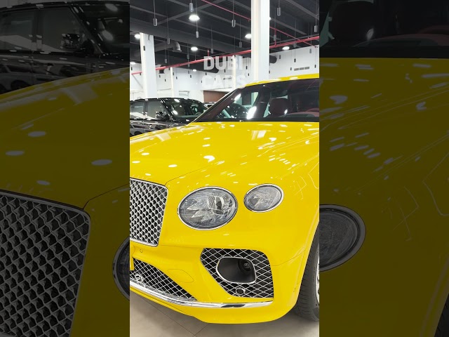 Bentley Benteyga ASMR Sounds