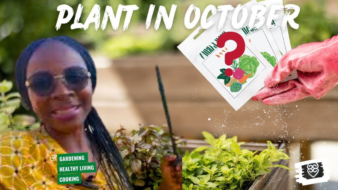 What To Grow Zone 9a What To Grow Zone 9a