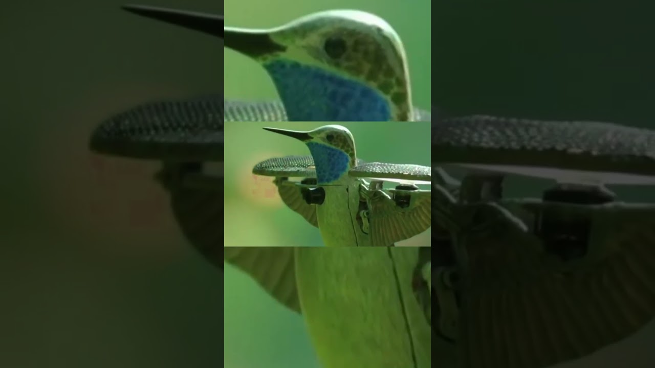 Supernova, ATL HIP-HOP ARTIST 