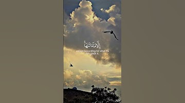 لا يكلف الله نفساً الا ما اتاها 🌙تلاوة قران بصوت رعد الكردي #قران_كريم #quranquotes