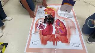 Programación de Rogic con sensor IR