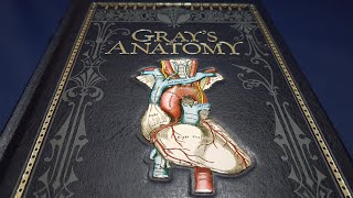 Gray's Anatomy: Barnes and Noble Leatherbound Review