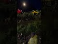Kedarnath Trecking