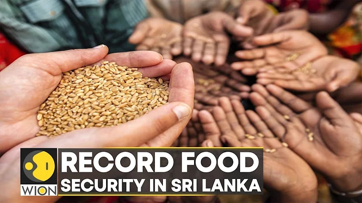 Food insecurity grips cash-strapped nation; 6.3 million in immediate need of help | WION