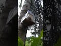 Faktor Perangkap Kelulut Berhasil.