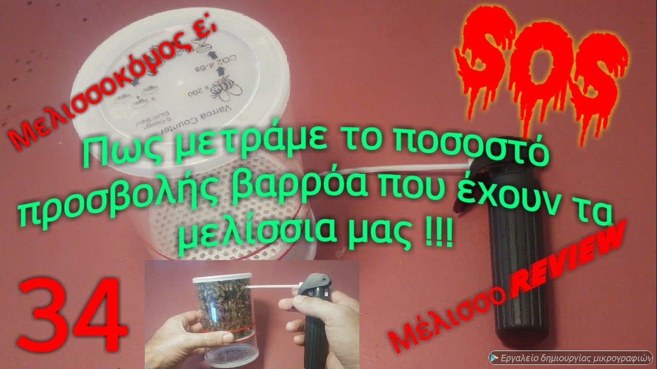 Πώς μετράμε το ποσοστό προσβολής βαρρόα που έχουν τα μελίσσια μας! Μελισσοκόμος ε; 34