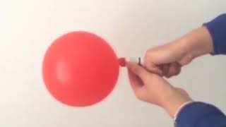 Where To Buy A Nitrous Whip Cream Cracker