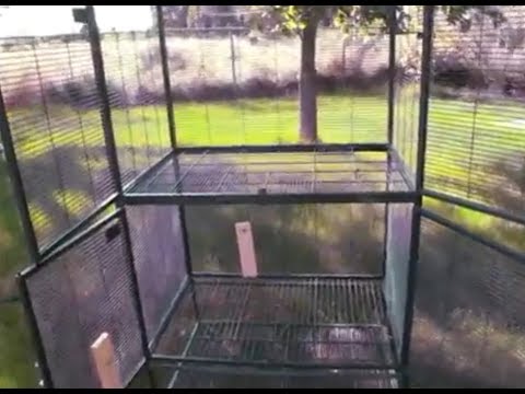 Comment Deep Clean votre chinchilla / Cage Rat