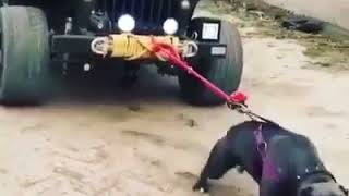 Vid 20170725 Wa0002