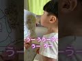【うーたんって言いたい...】いないいないばぁっ! 赤ちゃん 子供 1歳 ワンワン Baby can't say u-tan. 咿呀咿呀 汪汪 躲猫猫 "Ú Òa" Peek-a-boo #shorts