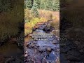 outdoor asmr