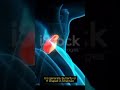 Thyroid Gland #shortvideo  🎶 complete information about Thyroid Gland in short 🤟 #svnursing