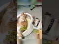 Готовь отопление летом
