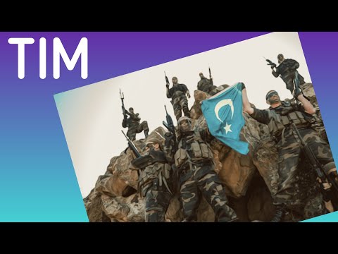 What Is The Turkistan Islamic Movement? #China #UighurGenocide