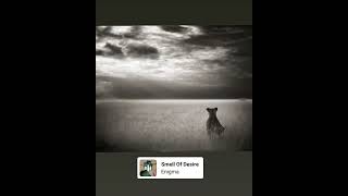 Savannah. Nick Brandt photo. #photographers #photooftheday Savannah. Nick Brandt photo. #photographers #photooftheday