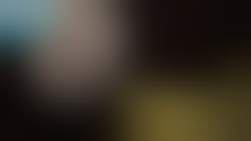 THE FIRST ALPHA BUILD- The Forest v0.01