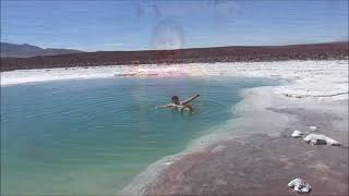 Como Llegar A La Laguna Baltinache En San Pedro De Atacama