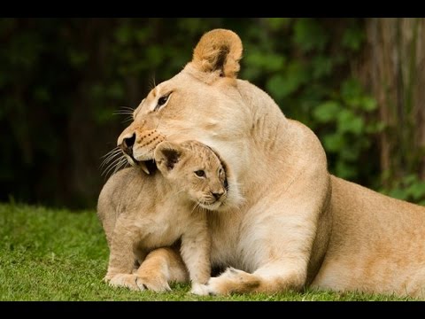 АТБ - АТБ реклама тесто ТМ 'Добрий кухар'