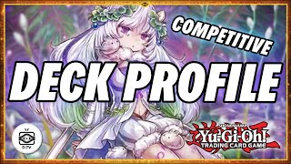 Traptrix Deckprofil Preisübersicht Combo Tutorial August 2021 Yu-Gi-Oh