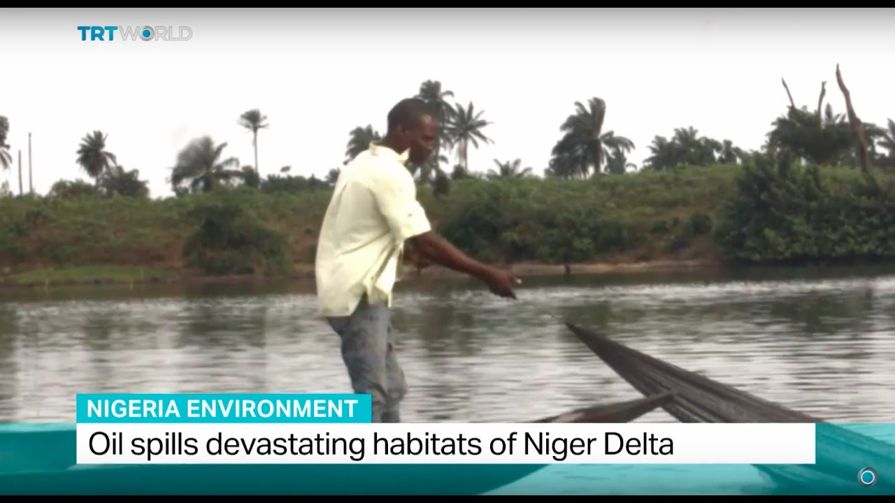 Nigeria Environment: Oil spills devastating habitats of Niger Delta