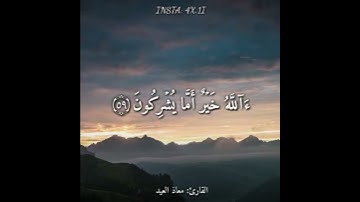 قرآن كريم بصوت القارئ: معاذ العيد || اجمل حالات واتس اب دينية  || تلاوة خاشعة