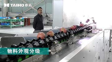 TAIHO Система сортировки фруктов/Taiho fruit sorting/grading system